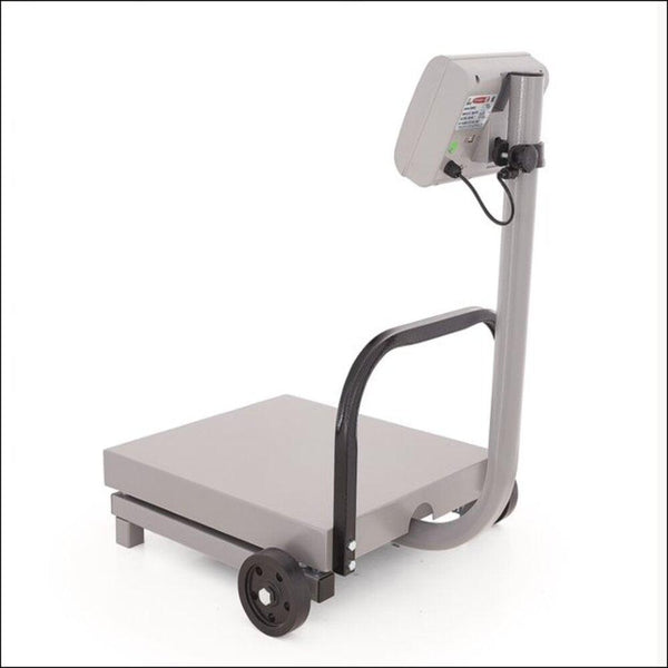 BÁSCULA DE RECIBO MÓVIL TORREY FS-500  500KGS
