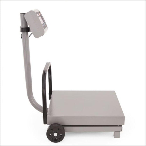BÁSCULA DE RECIBO MÓVIL TORREY FS-500  500KGS